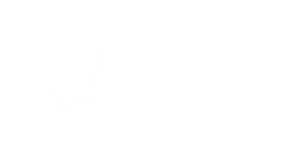 pegass85